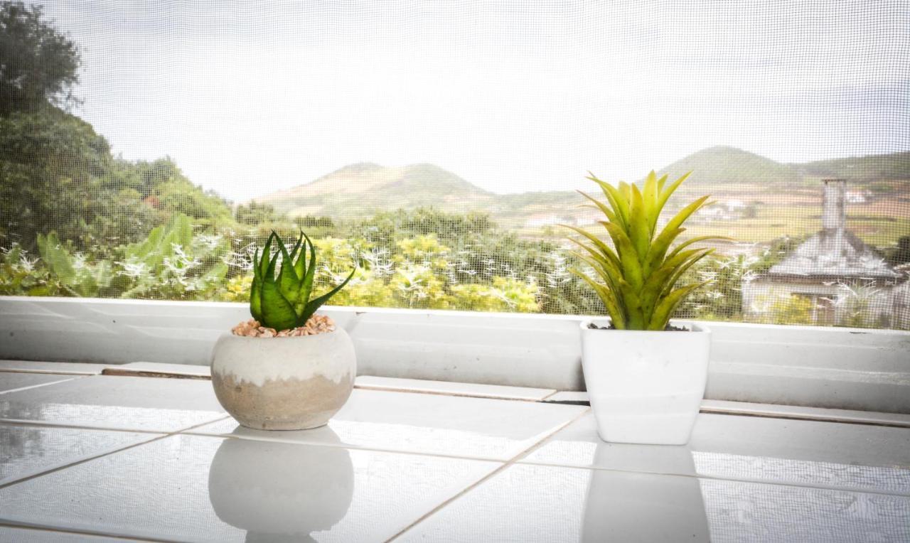 הוילה סנטה קרוז דה גרסיוזה Quinta Dos Frutos מראה חיצוני תמונה