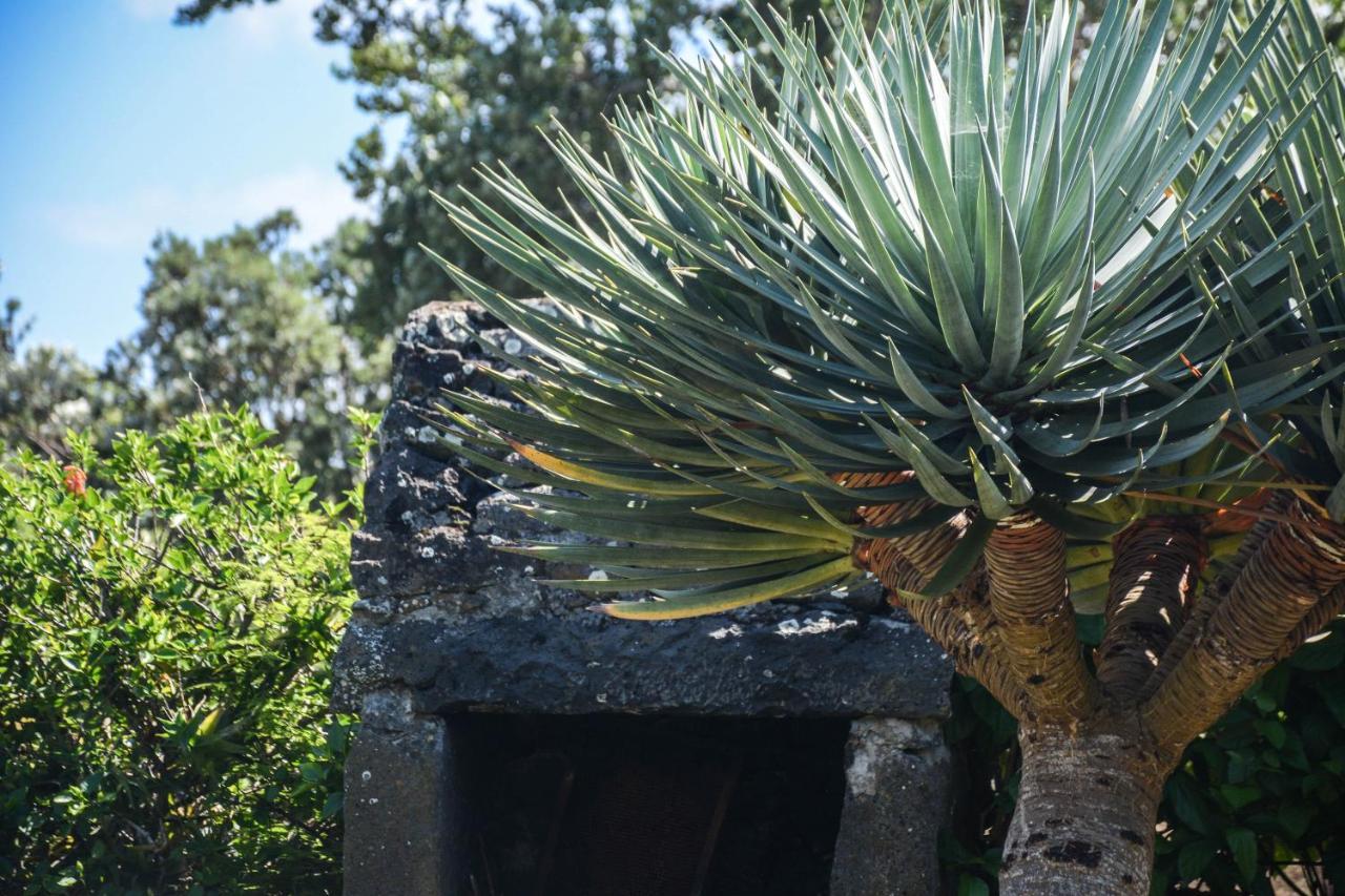 הוילה סנטה קרוז דה גרסיוזה Quinta Dos Frutos מראה חיצוני תמונה