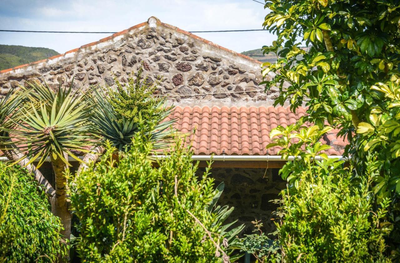 הוילה סנטה קרוז דה גרסיוזה Quinta Dos Frutos מראה חיצוני תמונה