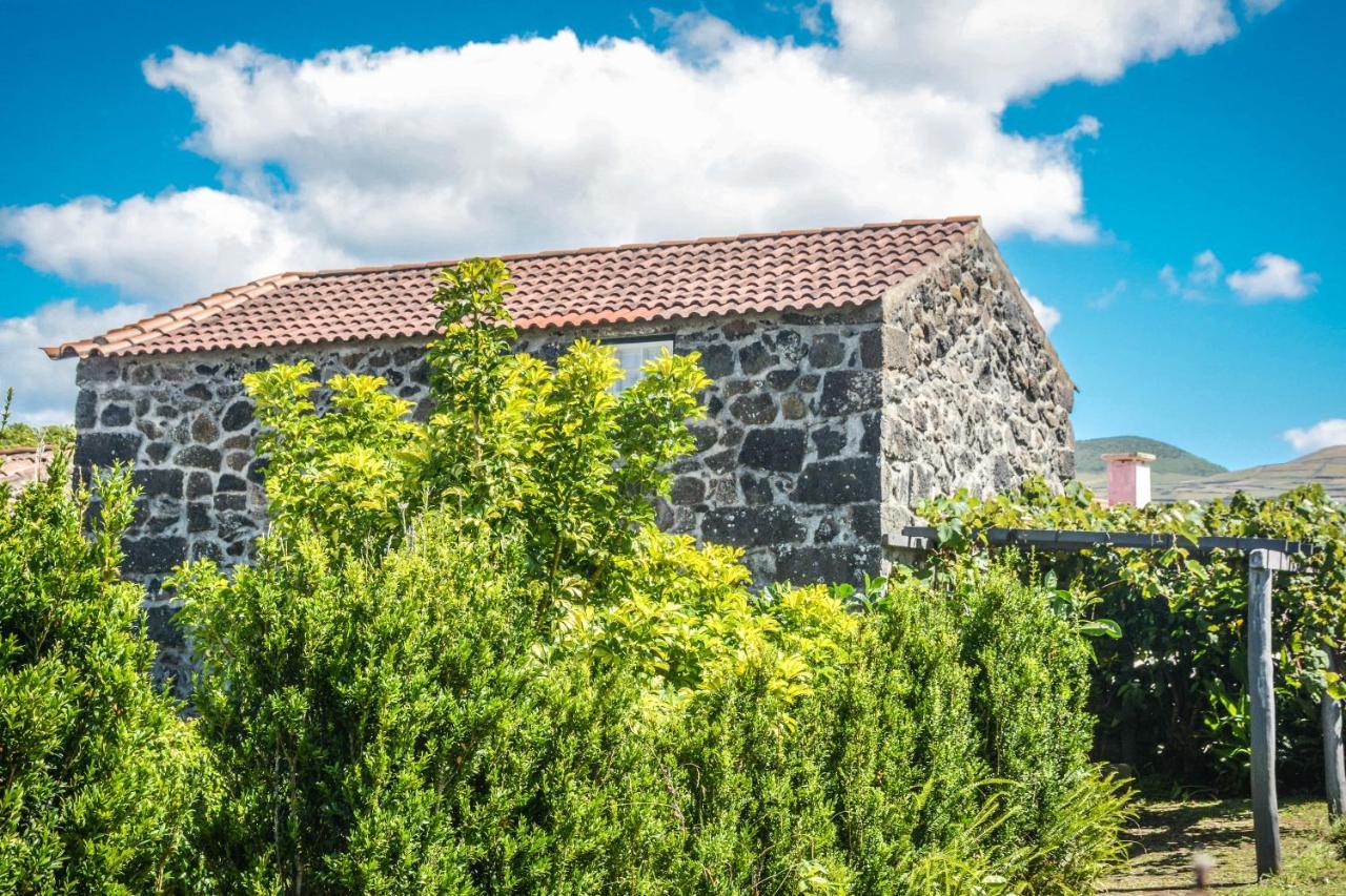 הוילה סנטה קרוז דה גרסיוזה Quinta Dos Frutos מראה חיצוני תמונה